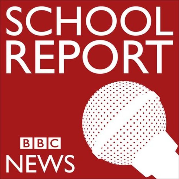 school_report__logo